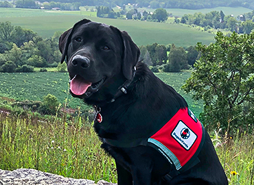 Psychiatric Service Dogs for Autism